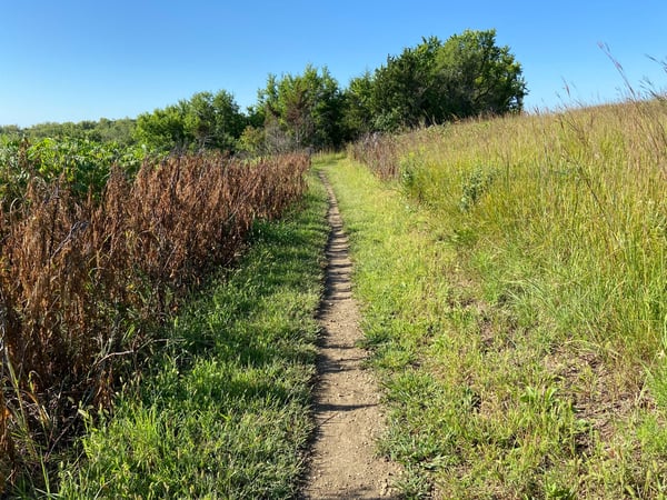 Tiny Trail at the Top