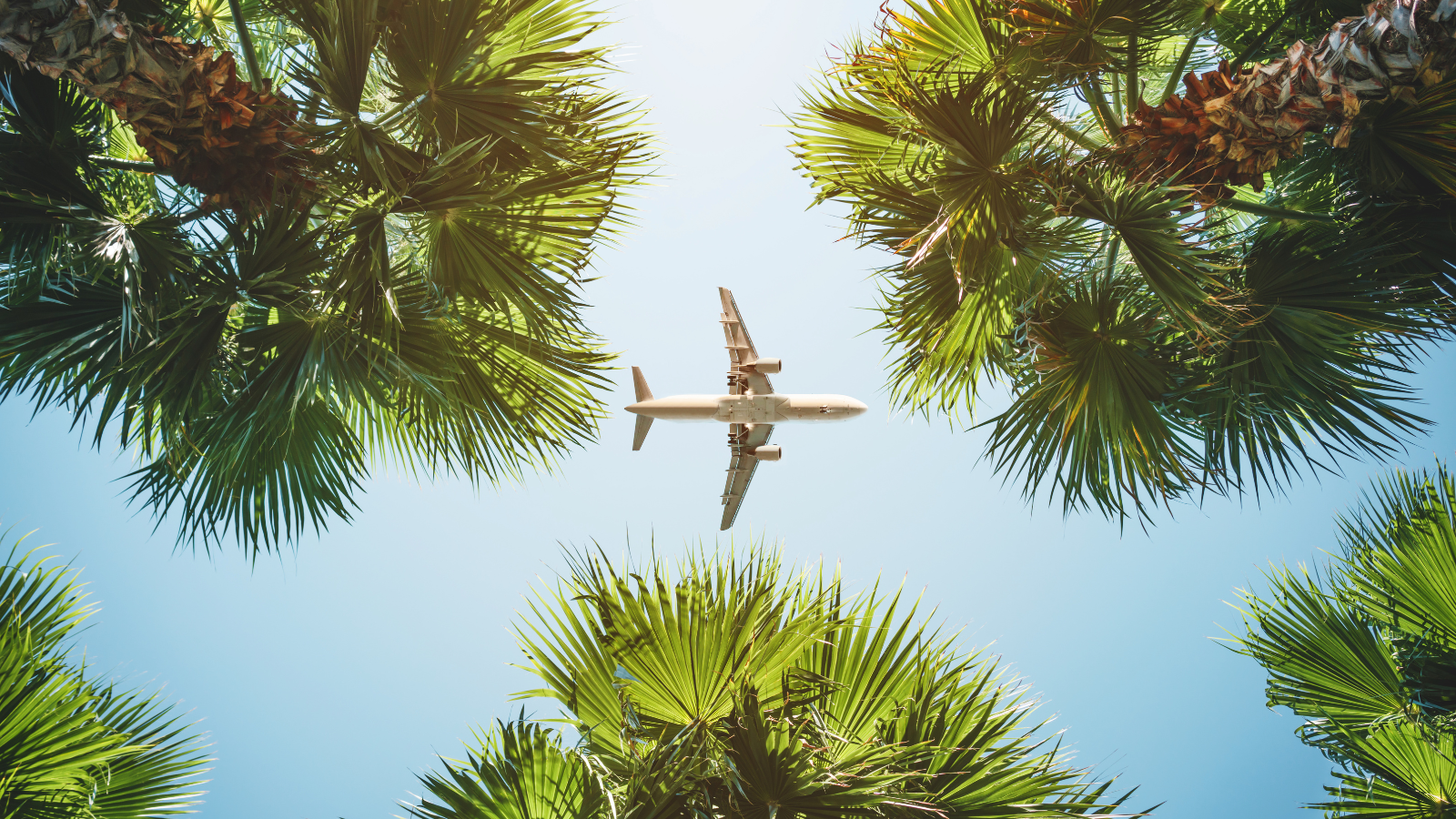 Dream Vacation or Worst Nightmare? Beware of Vacation Scams!