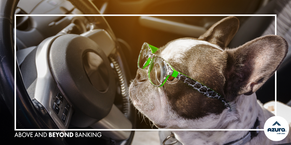 Feeling Stuck in your Car Loan? It might Be Time to Shop Around!